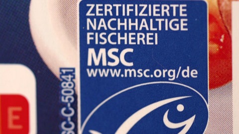 MSC Siegel auf Thunfischdosen von Edeka. Nahaufnahme.