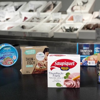 Thunfischdosen von Lidl, Edeka, Deutsche See, Hawesta, Followfood und Saupiquet auf einem schwarzen Tisch. Im Hintergrund sieht man frischen Thunfisch in weißen Behältern