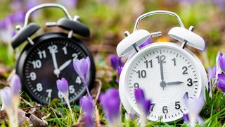 Zeitumstellung auf die Sommerzeit: Ein schwarzer und ein weißer Wecker stehen zwischen blühenden Blumen auf einer Wiese. Der eine zeigt zwei Uhr an, der andere drei Uhr.