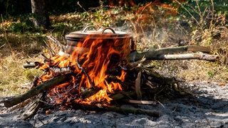 Terra Preta lässt sich im Garten selbst herstellen