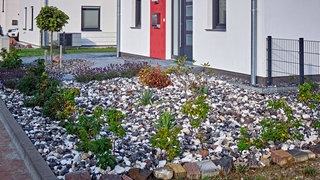 Schottergarten in einer Neubausiedlung