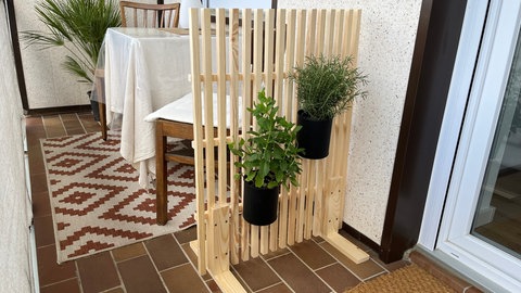 Stellwand aus Holz mit Kräutern