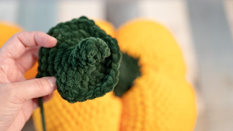 gehäkeltes Gemüse