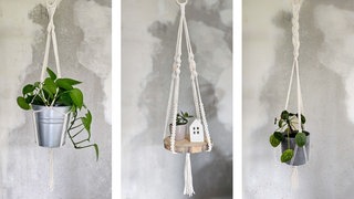 Verschiedene Varianten von Blumenampeln