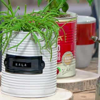 Blumentöpfe aus Blechdosen