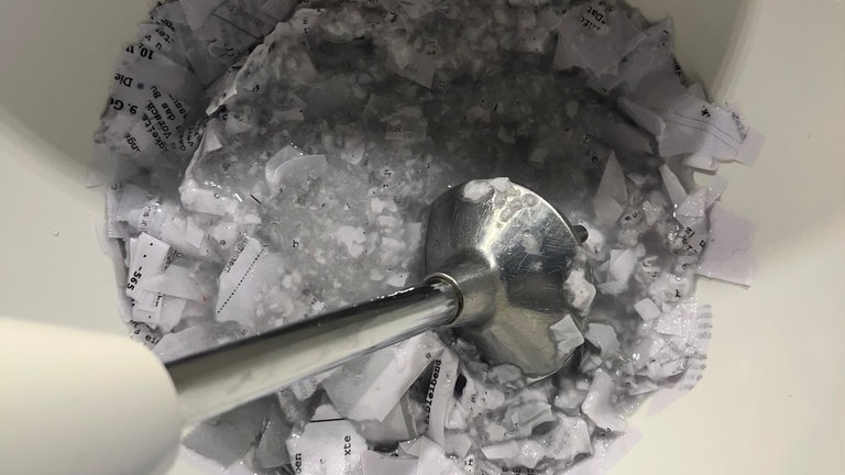 Papiermasse mit einem Mixer fein pürieren.