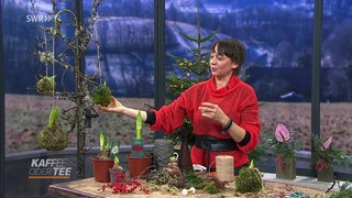 Floristmeisterin Jasmin Centner und Amaryllis