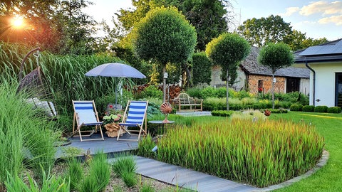 Garten mit verschienden Bäumen