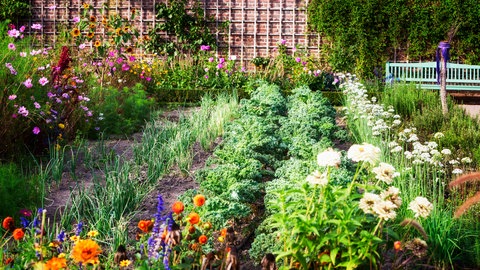 Bauerngarten
