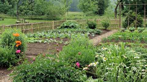 Bauerngarten im Fränkischen Freilandmuseum Fladungen