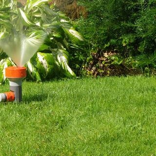 Rasensprenger wässert Garten