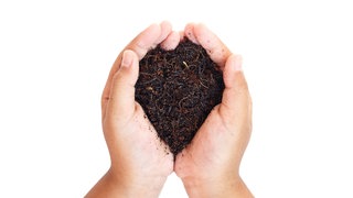 Hand mit Humusboden