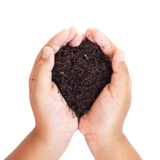 Hand mit Humusboden