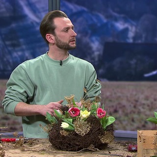 Floristmeister Jonas Clos