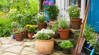 Bepflanzter Garten mit Beeten und Töpfen rund um eine blaue Haustür.