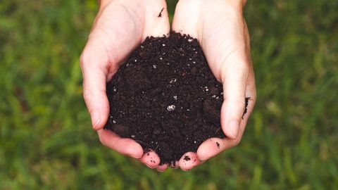 Blumenerde wird in Händen gehalten