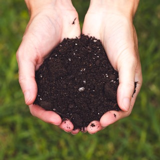 Blumenerde wird in Händen gehalten
