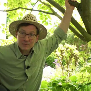 James Foggin im Garten