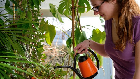 Frau gießt Blumen im Wintergarten