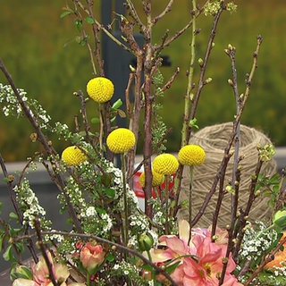 Österlicher Stehstrauß