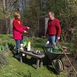 Ordnung im Garten: Das sollten Sie tun!