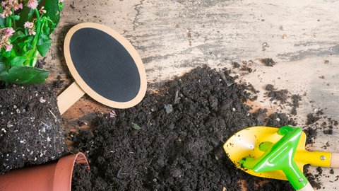 Blumenerde und Blumentopf mit Blumen