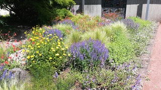 Staudenbeet nach Pflanzplan gepflanzt