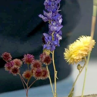 Trockenblumen