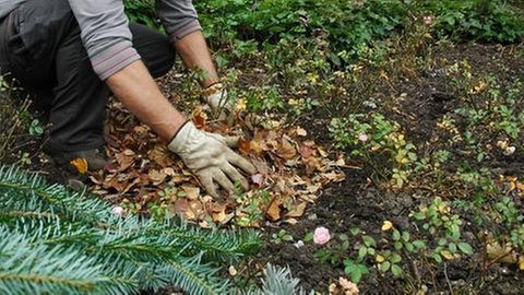 Garten winterfest machen