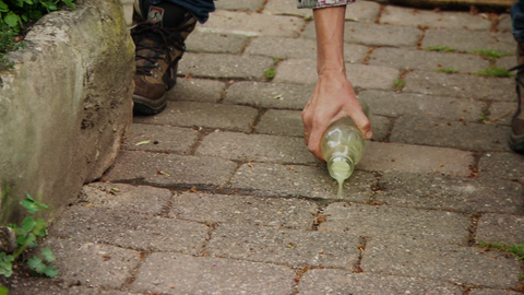 Die Zitronenjauche als Sperre gegen Ameisen im Garten, auf der Terrasse oder vor Türen verteilen.