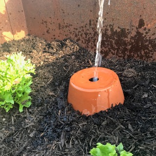 Mit dem unterirdischen Wasserreservoir, der Olla, braucht man weniger Wasser als beim Gießen der kompletten Oberfläche.