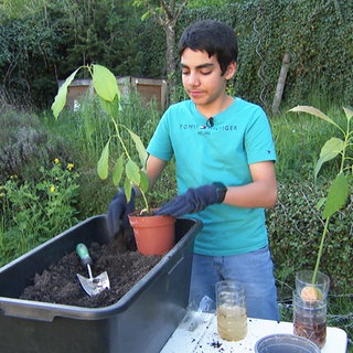 Benjamin Farsadpour aus Kaiserslautern ist ein leidenschaftlicher Pflanzenfan mit Geschäftsgespür.