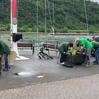 Aktionsgruppe pflanzt 1.000 neue Pflanzen in Spay