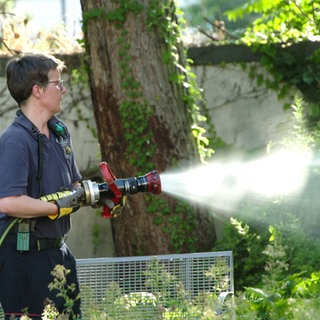 Feuerwehr Frankenthal hilft Bäumen im Kampf gegen Hitze