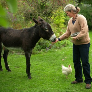 Andrea Tellmanns Wildkräutergarten mit Hoftieren.