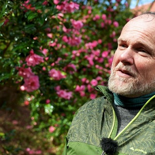 Peter Straub fühlt sich in seinem Kameliengarten wohl.