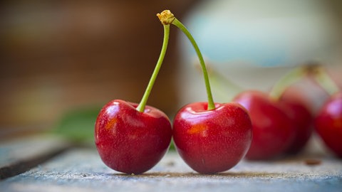 Rote Kirschen kurz nach der Ernte im Sommer. Ein Baumschnitt bei Steinobst kann den Ertrag steigern.