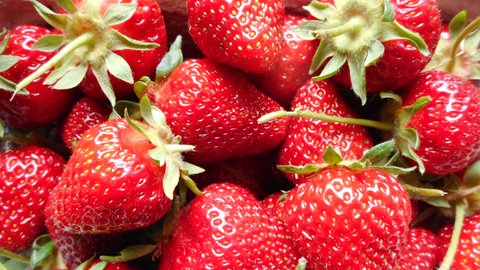 Frisch gepflückte und selbstangebaute Erdbeeren in einer Schale. 