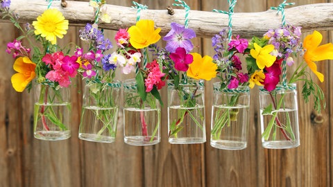 Idee für Deko: Kleine Gläser gefüllt mit Wasser und kleinen Blumensträußen hängen an einem Ast. 