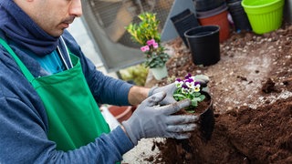 Torffrei Gärtnern: Erde ohne Torf im Garten verwenden, um das Klima zu schützen. 