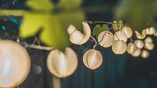 Idee für die Gartenbeleuchtung: Mehrere Lampions aus Papier hängen nebeneinander zwischen Blättern im Garten und leuchten.