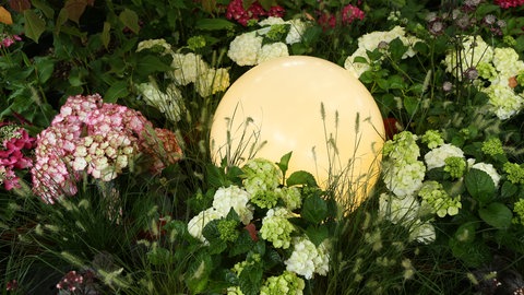 Gartenbeleuchtung: Eine runde Gartenleuchte leuchtet zwischen Hortensien und anderen blühenden Pflanzen im Garten.