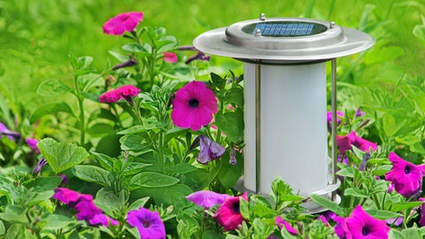 Gartenbeleuchtung: Eine Solarlampe steht in einem Blumenbeet inmitten von blühenden Pflanzen.