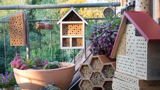 Verschiedene Varianten von Insektenhotels, die Sie ganz einfach selber bauen können