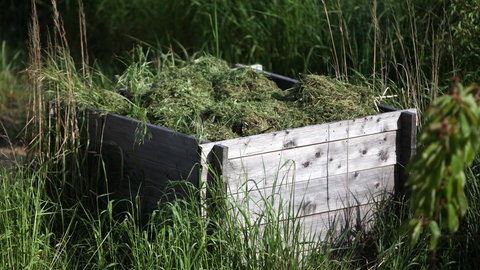 Garten mit Komposthaufen voller Rasenschnitt