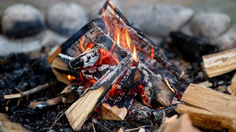 Ein Lagerfeuer brennt und es entsteht Holzasche. Holzasche kann im Garten eingesetzt werden.