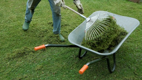 Garten mit Schubkarre, in der Rasenschnitt liegt