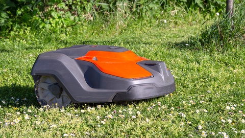 Ein schwarz-roter Mähroboter mäht bei Sonnenschein rasen