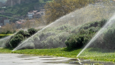 Automatische Wassersprenger bewässern Sträucher und Pflanzen in einem öffentlichen Park.