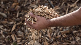Rindenmulch als organischer Mulch im Garten.